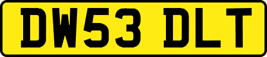 DW53DLT