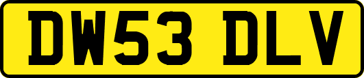 DW53DLV