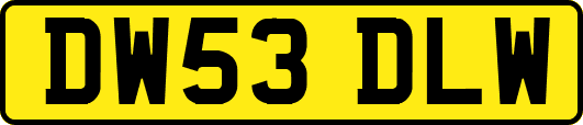 DW53DLW