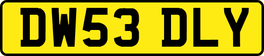 DW53DLY