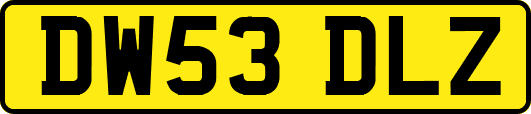 DW53DLZ