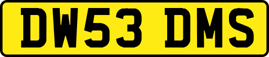 DW53DMS