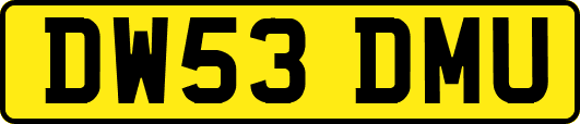 DW53DMU