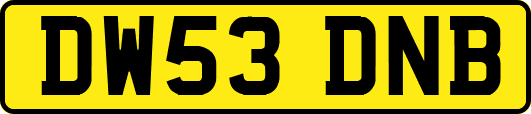 DW53DNB