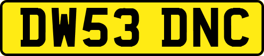 DW53DNC