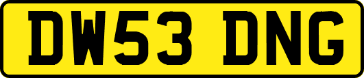 DW53DNG