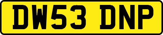 DW53DNP