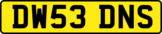 DW53DNS