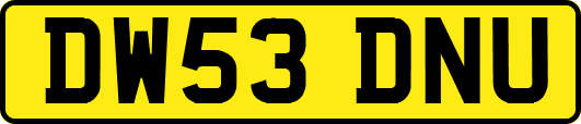 DW53DNU