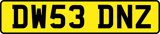 DW53DNZ