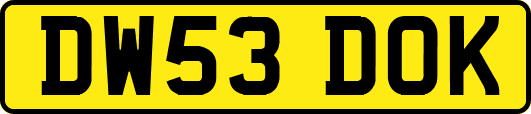 DW53DOK