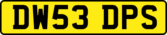 DW53DPS