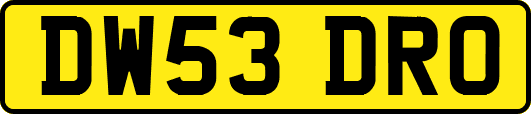 DW53DRO