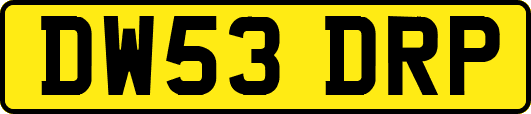DW53DRP