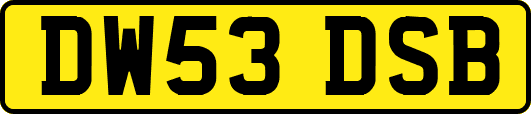 DW53DSB