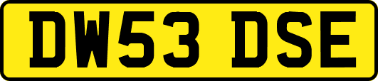 DW53DSE