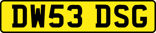 DW53DSG