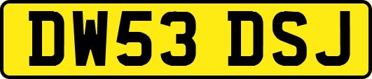 DW53DSJ