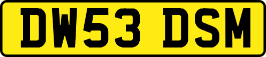 DW53DSM