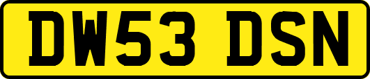DW53DSN