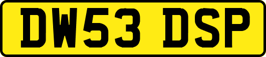 DW53DSP