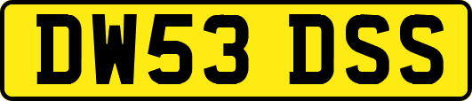 DW53DSS