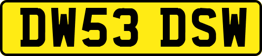DW53DSW