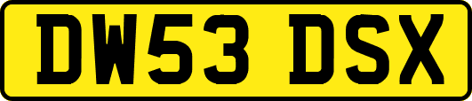 DW53DSX