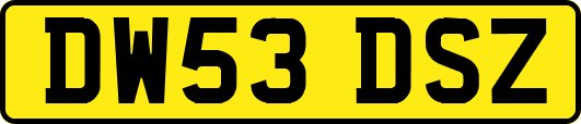 DW53DSZ