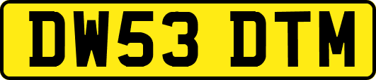DW53DTM