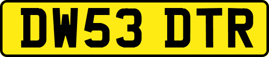 DW53DTR