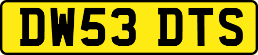 DW53DTS