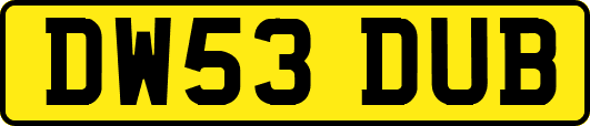 DW53DUB