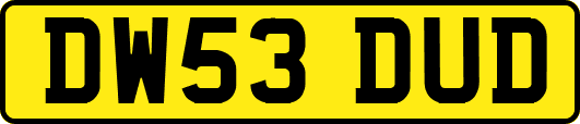 DW53DUD