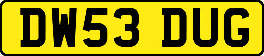 DW53DUG