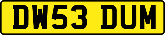 DW53DUM