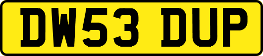 DW53DUP