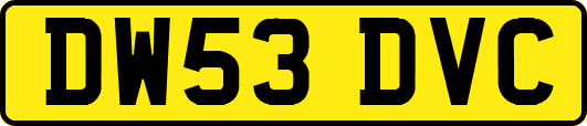 DW53DVC
