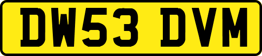 DW53DVM