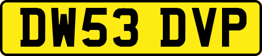DW53DVP