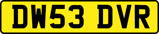 DW53DVR