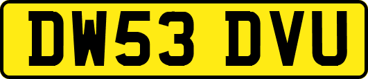 DW53DVU