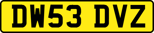 DW53DVZ