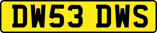 DW53DWS
