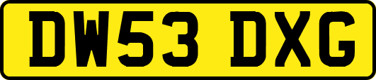 DW53DXG