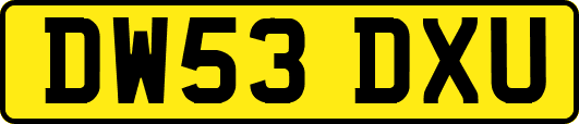 DW53DXU