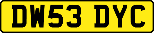 DW53DYC