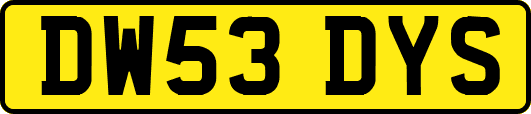 DW53DYS