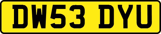 DW53DYU