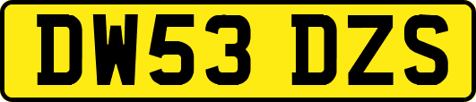 DW53DZS